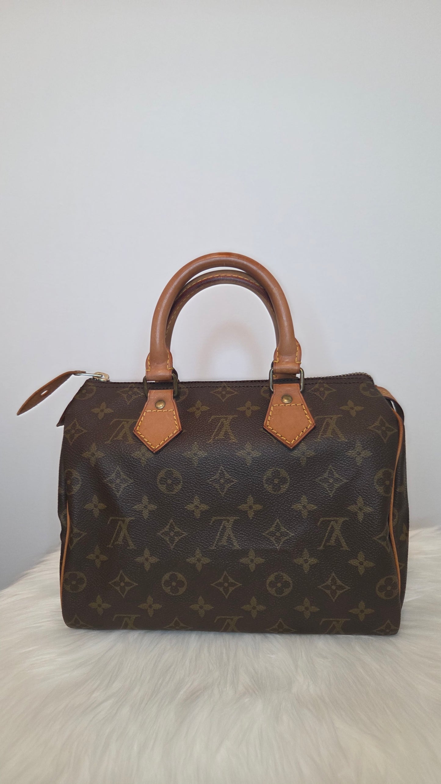 Louis Vuitton Monogram Speedy 25 Bag