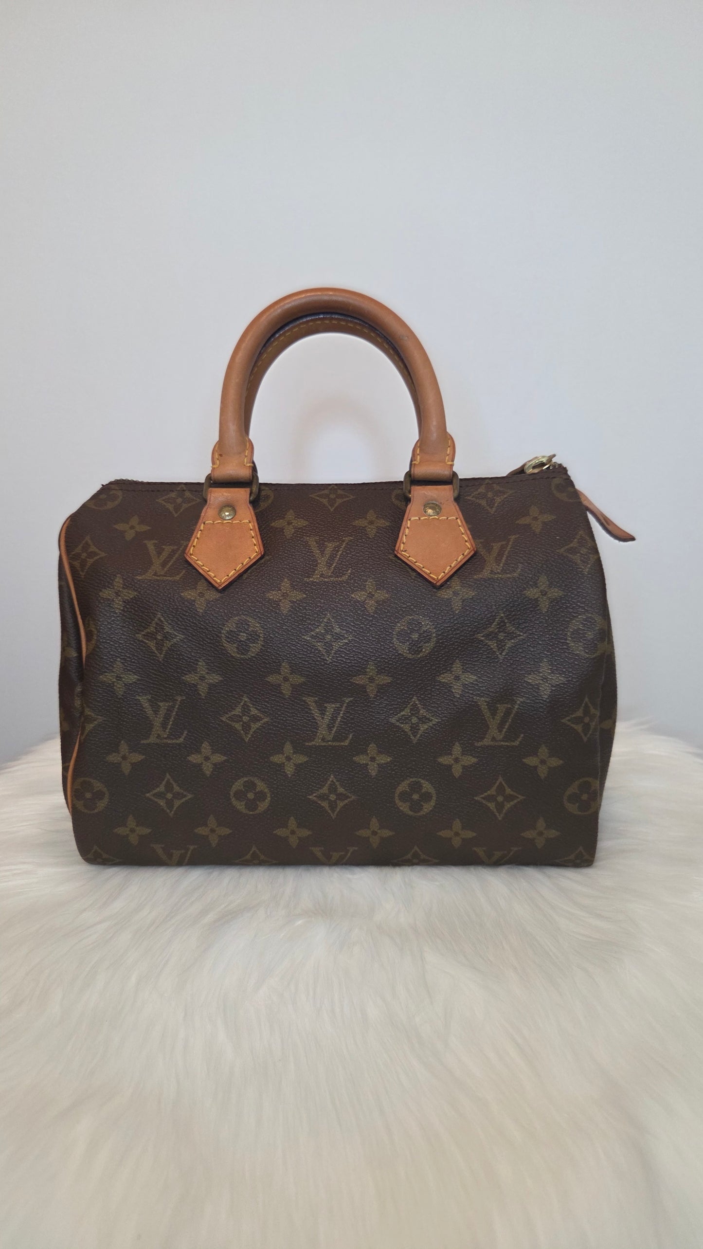 Louis Vuitton Monogram Speedy 25 Bag