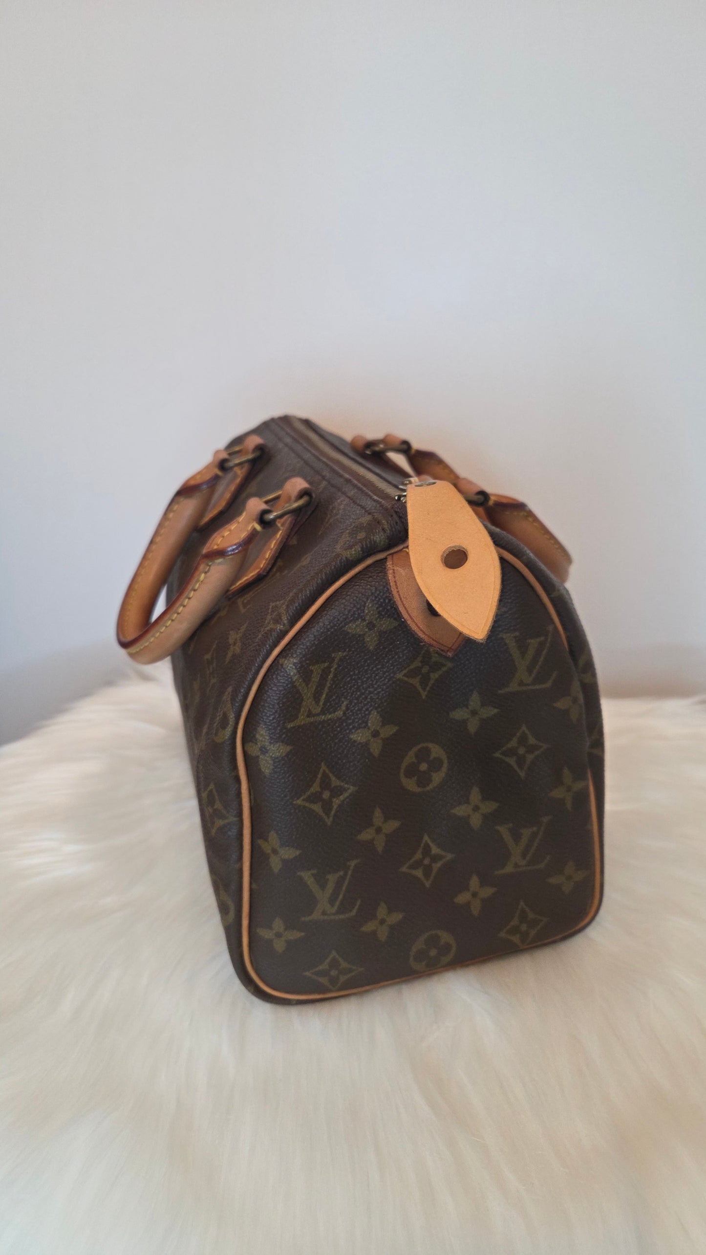 Louis Vuitton Monogram Speedy 25 Bag
