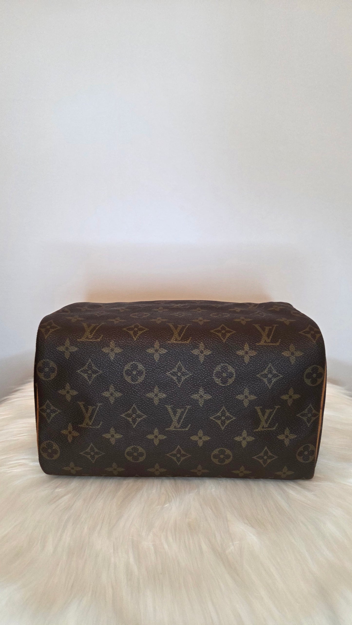Louis Vuitton Monogram Speedy 25 Bag