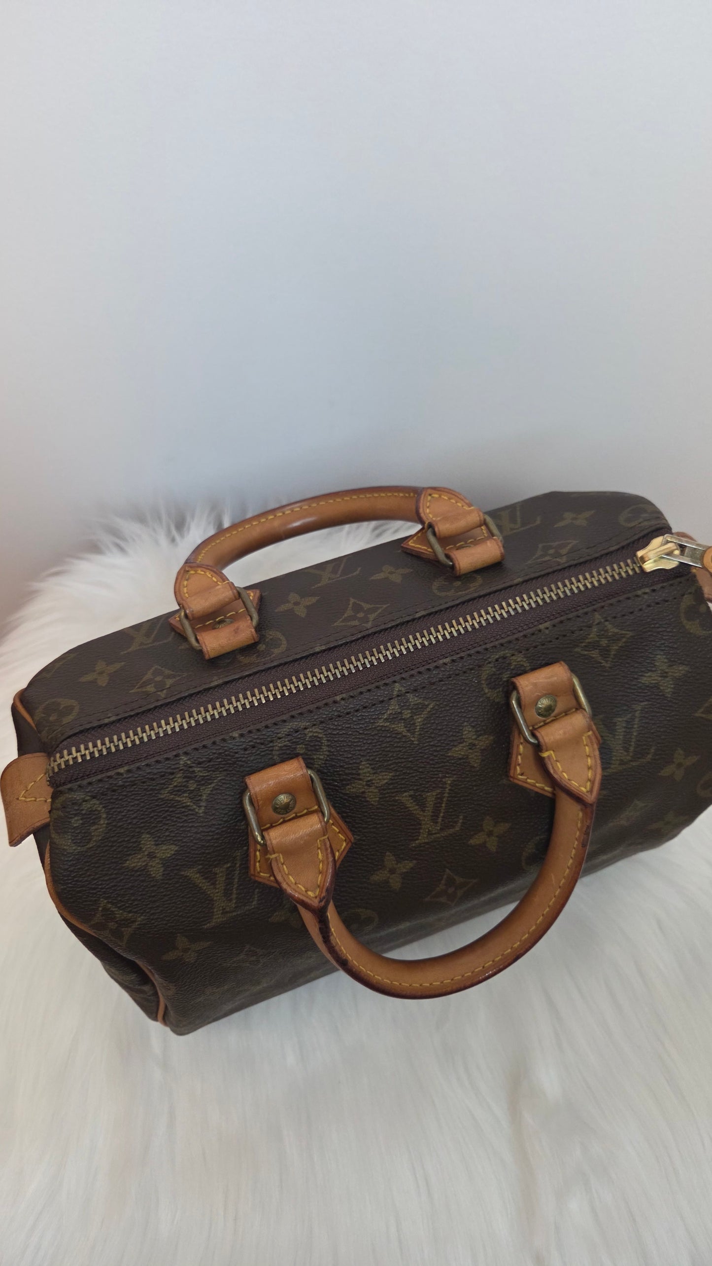 Louis Vuitton Monogram Speedy 25 Bag