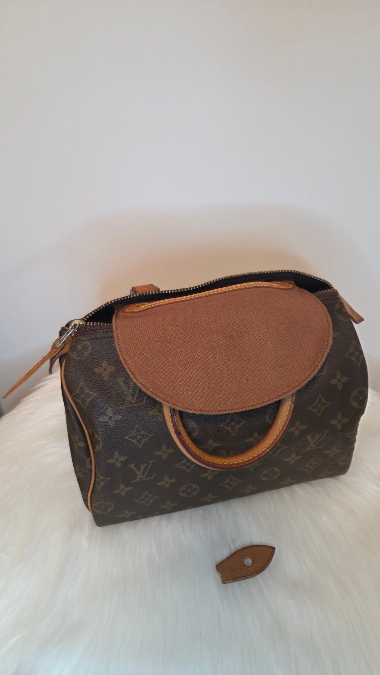 Louis Vuitton Monogram Speedy 25 Bag
