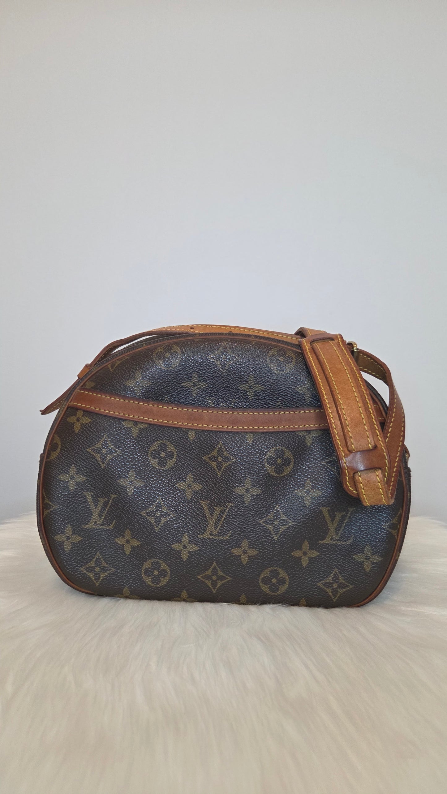 Louis Vuitton Monogram Blois Crossbody Bag