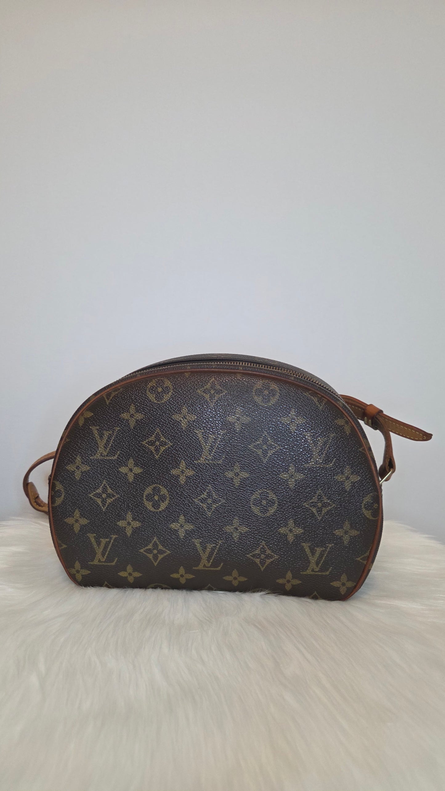 Louis Vuitton Monogram Blois Crossbody Bag